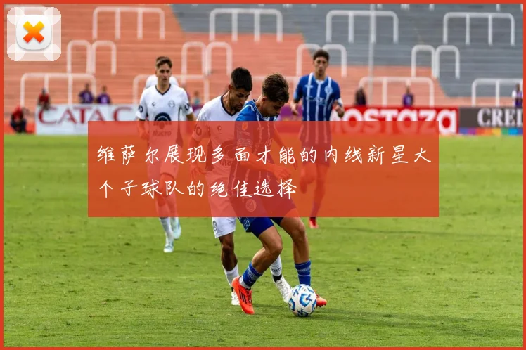 维萨尔展现多面才能的内线新星大个子球队的绝佳选择