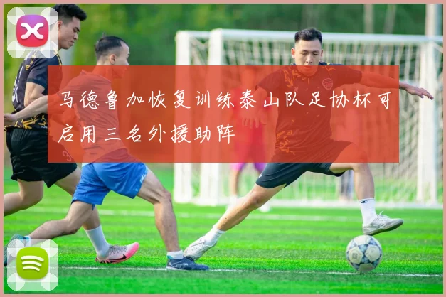马德鲁加恢复训练泰山队足协杯可启用三名外援助阵