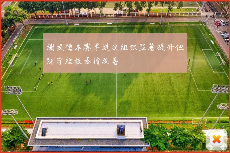 谢泼德本赛季进攻组织显著提升但防守短板亟待改善